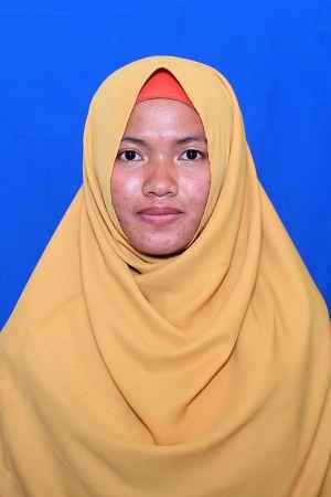 Novi Sari